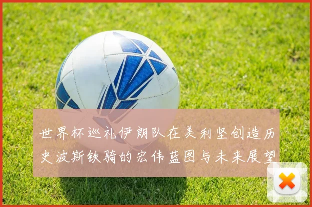 世界杯巡礼伊朗队在美利坚创造历史波斯铁骑的宏伟蓝图与未来展望