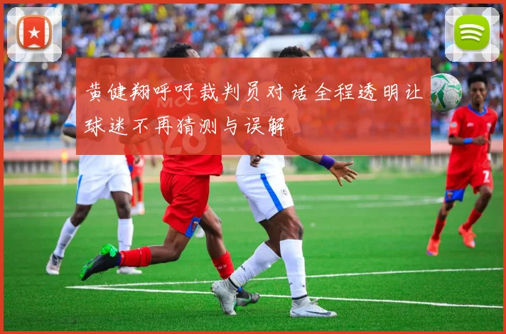 黄健翔呼吁裁判员对话全程透明让球迷不再猜测与误解